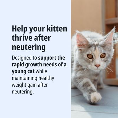 Favorisce la rapida crescita e un sano aumento di peso delle giovani gatte dopo la sterilizzazione.