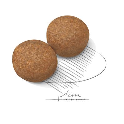 Две кръгли гранули суха храна с размерна скала, показваща диаметър приблизително 1 см.