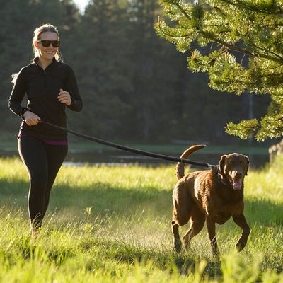 Person iført sort træningstøj går tur med stor brun hund i snor på græsmark ved skov og sø. Hundesnor og sele synlige.