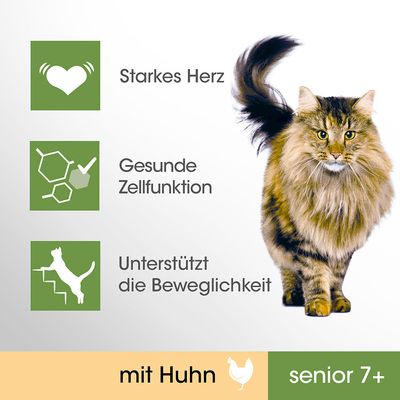 Tekst na njemačkom: Starkes Herz, Gesunde Zellfunktion, Unterstützt die Beweglichkeit. mit Huhn, senior 7+. Prikazana mačka s dugom dlakom.