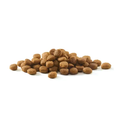 Round brown dry pet food pieces in a pile on a white background. No visible packaging or branding.