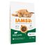IAMS pienso para gatos 2 x 10 / 15 kg - Pack Ahorro Adult con cordero (2 x 10 kg)