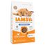 IAMS Advanced Nutrition Light/Sterilised met Kip 3 kg