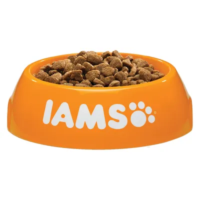 Comida seca para mascotas en un cuenco naranja con la marca IAMS visible en letras blancas.