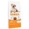 IAMS Advanced Nutrition Senior Large Dog 7+ with Chicken - dog dry food Economy Pack: 2 x 12kg
