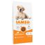 IAMS Advanced Nutrition Senior Large Dog 7+ met Kip Dubbelpak: 2 x 12 kg