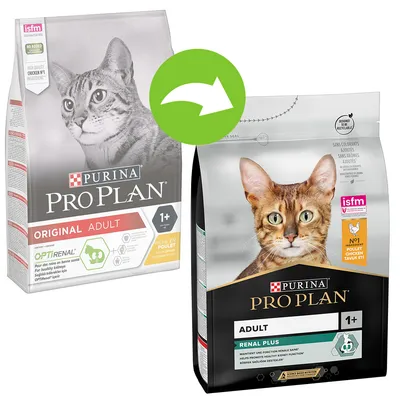 Două pungi de hrană pentru pisici Purina Pro Plan: una Original Adult 1+ cu pui, cealaltă Adult Renal Plus 1+. Săgeată verde indică schimbarea ambalajului. Text vizibil: isfm, Optirenal.