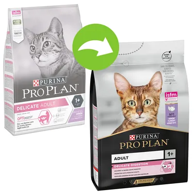 Două ambalaje hrană pentru pisici Purina Pro Plan: Delicate Adult 1+ și Adult Delicate Digestion 1+, cu imaginea unei pisici pe fiecare pachet și săgeată verde indicând schimbarea designului. Două ambalaje hrană pentru pisici Purina Pro Plan: Delicate Adult 1+ și Adult Delicate Digestion 1+, cu imaginea unei pisici pe fiecare pachet și săgeată verde indicând schimbarea designului.