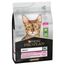PURINA PRO PLAN Adult Delicate Digestion Ricco in Agnello Crocchette gatto Set %: 3 x 3 kg