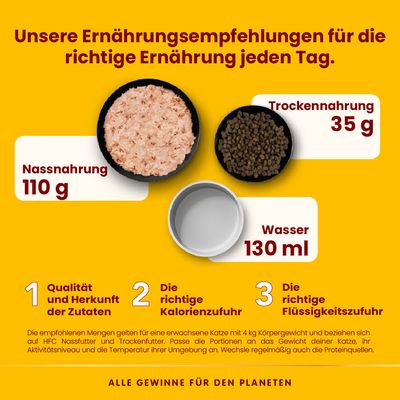 Ernährungsempfehlung für Katzen: Nassnahrung 110g, Trockennahrung 35g, Wasser 130ml. Fokus auf Qualität, Kalorienzufuhr und Flüssigkeitszufuhr. Hinweise zur Anpassung nach Gewicht und Aktivität.