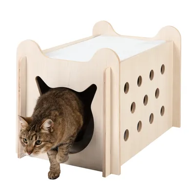 Kattehus af træ med huller i siden og indgang formet som et kattehoved. Kat forlader huset gennem indgangen.