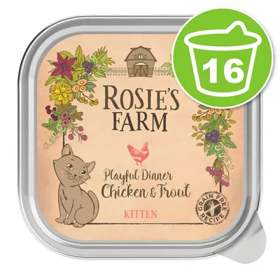 Rosie's Farm Playful Dinner Chicken & Trout Kitten, recette sans céréales, lot de 16 barquettes visibles sur l'emballage.