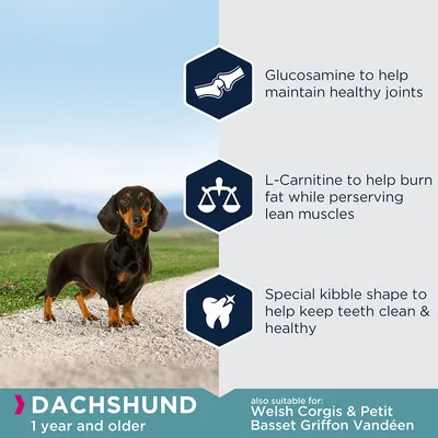 DACHSUND 1 year and older, også egnet til Welsh Corgis og Petit Basset Griffon Vendéen. Glucosamine, L-Carnitine, special kibble shape nævnt på engelsk tekst.