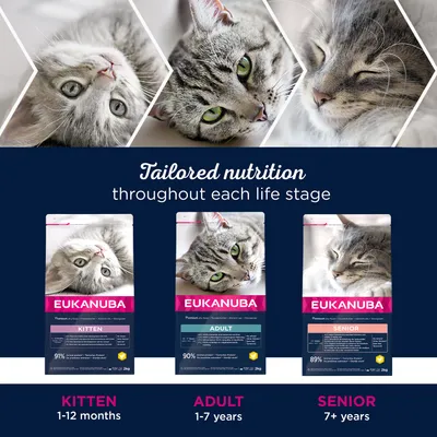 Eukanuba Top Condition 7+ Senior
