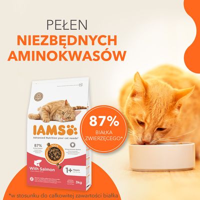 IAMS karma dla kotów z łososiem, 87% białka zwierzęcego, dla kotów od 1 roku. 100% zbilansowana dieta, silny układ odpornościowy, 3 kg, opakowanie nadające się do recyklingu, bez sztucznych dodatków.