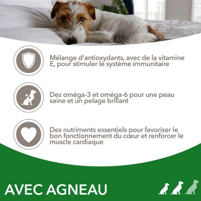 Mélange d'antioxydants avec vitamine E, oméga-3 et oméga-6 pour la peau et le pelage, nutriments essentiels pour le cœur. Texte : AVEC AGNEAU.