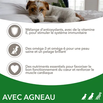 Mélange d'antioxydants avec vitamine E, oméga-3 et oméga-6 pour la peau et le pelage, nutriments essentiels pour le cœur. Texte : AVEC AGNEAU.