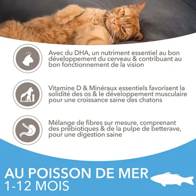 Au poisson de mer 1–12 mois. Avec DHA pour cerveau et vision, vitamine D et minéraux pour os et muscles, fibres avec prébiotiques et pulpe de betterave pour digestion saine.