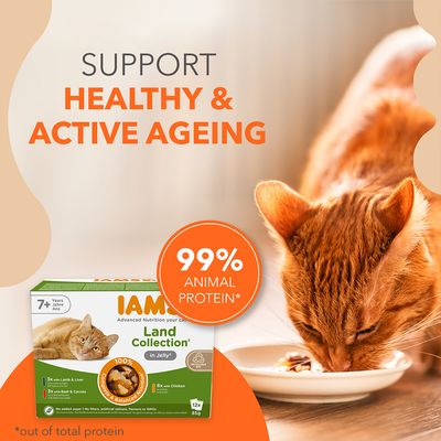 Text v angličtine: Support healthy & active ageing, 99% animal protein. Balenie IAMS Land Collection in Jelly pre mačky 7+ rokov, 12×85 g. Mačka pri miske s krmivom.