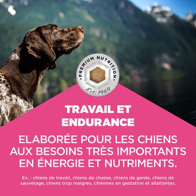 Eukanuba Daily Care Working & Endurance Adult - 15 kg