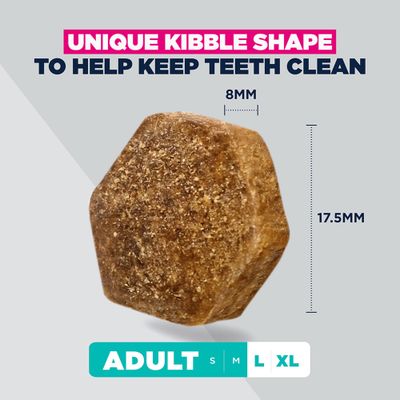 Eukanuba Special Care Weight Control Adult Large