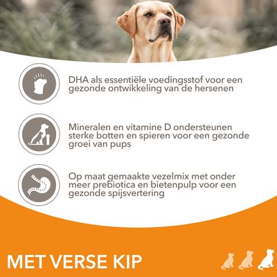 DHA als essentiële voedingsstof voor hersenontwikkeling, mineralen en vitamine D voor botten en spieren, vezelmix met prebiotica en bietenpulp voor spijsvertering. Met verse kip.