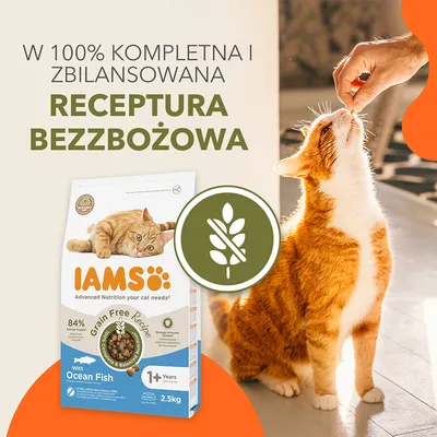 IAMS Grain Free z rybą oceaniczną dla kotów 1+, 2,5 kg. W 100% kompletna i zbilansowana receptura bezzbożowa. Opakowanie oraz kot jedzący smakołyk.