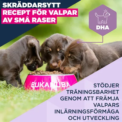 Eukanuba Premium Nutrition Puppy Small Breed Chicken - Ekonomipack: 2 x 3 kg