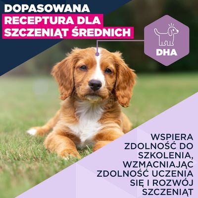 Eukanuba Premium Nutrition: Puppy Medium Breed, kurczak + Adult Medium Breed, kurczak, 100 g gratis!