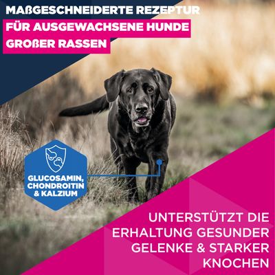 Eukanuba Premium Nutrition Mature Large & Giant Breed Huhn