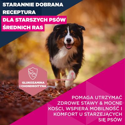 Eukanuba Premium Nutrition Senior Medium Breed, kurczak - 15 kg