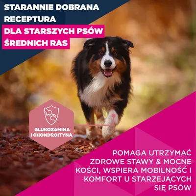 Eukanuba Premium Nutrition Senior Medium Breed, kurczak - 2 x 15 kg
