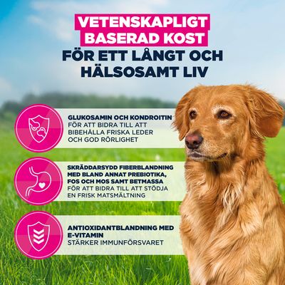 Eukanuba Premium Nutrition Senior Large & Giant Breed Lamb & Rice - 12 kg