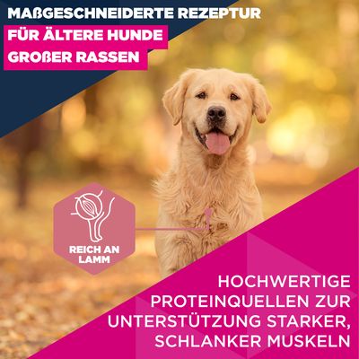 Eukanuba Premium Nutrition Senior Large & Giant Breed ягненок и рис