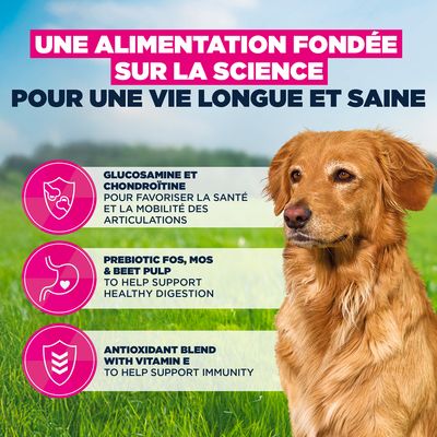 Eukanuba Premium Nutrition Senior Large et Giant Breed agneau et riz - lot % : 2 x 12 kg