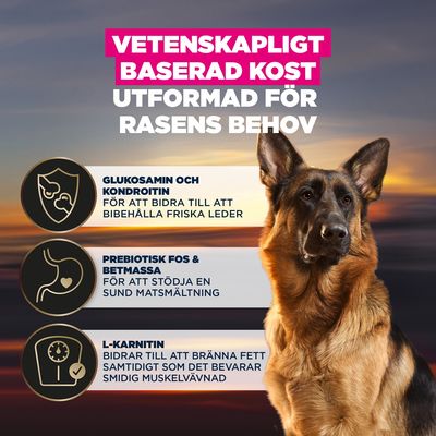 Glukosamin och kondroitin för friska leder, prebiotiskt FOS och betmassa för matsmältningen, L-karnitin för fettförbränning och bevarande av muskelmassa. Vetenskapligt baserad näring.