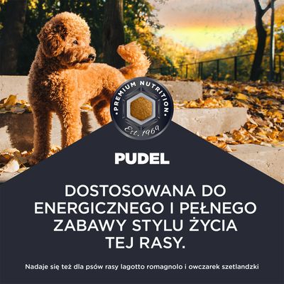 Premium Nutrition Est. 1969. Pudel. Dopasowana do energicznego i zabawowego stylu życia tej rasy. Odpowiednia także dla Lagotto Romagnolo oraz owczarka szetlandzkiego.