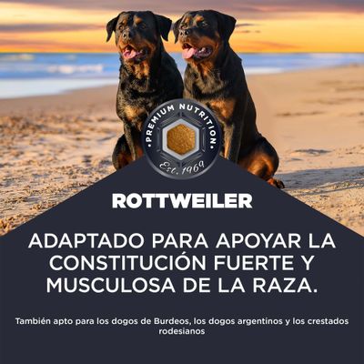 Premium Nutrition Rottweiler. Adaptación para apoyar una constitución fuerte y musculosa de la raza. También adecuado para dogos de Burdeos, dogos argentinos y Rhodesian Ridgebacks.