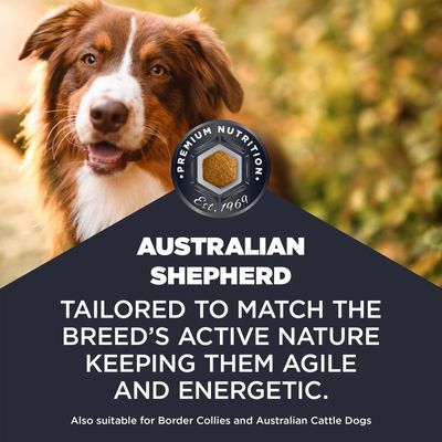 Australian Shepherd. Prémium táplálék 1969 óta. Az aktív fajtajelleghez fejlesztve, mozgékony és energikus marad. Border Collie-k és Australian Cattle Dog-ok számára is alkalmas.