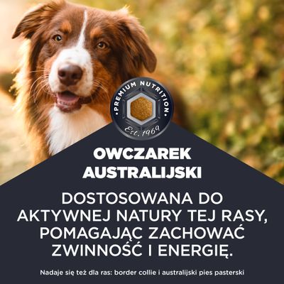 Premium Nutrition Est. 1969. AUSTRALIAN SHEPHERD. Dostosowana do aktywnej natury tej rasy, pomagając zachować zwinność i energię. Nadaje się również dla ras: border collie i australijski pies pasterski.