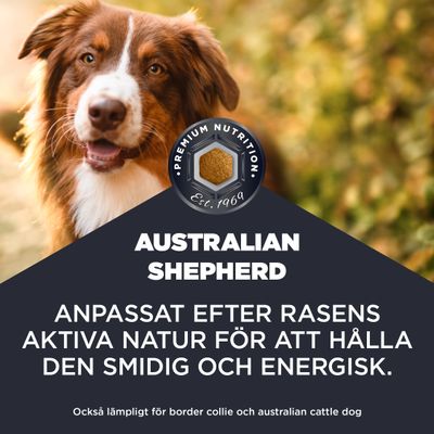 Premium Nutrition Est. 1969. Australian Shepherd. Anpassat efter rasens aktiva natur för att hålla den smidig och energisk. Också lämpligt för border collie och australian cattle dog.