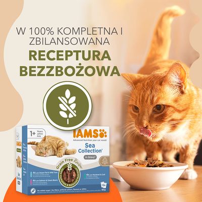 IAMS Advanced Nutrition Grain Free Sea Collection w sosie