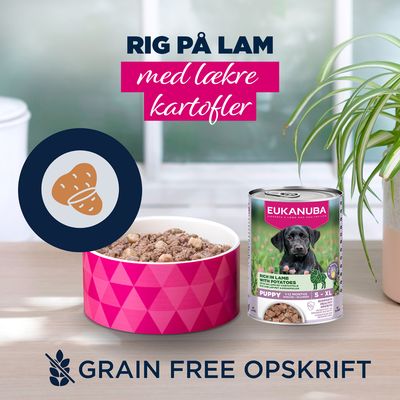 Eukanuba Puppy Rig på Lam med kartofler