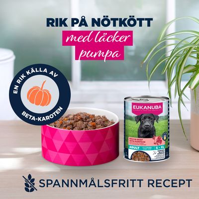 Eukanuba Adult Rich in nötkött med pumpa