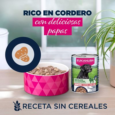 Eukanuba Senior rico en cordero con patata