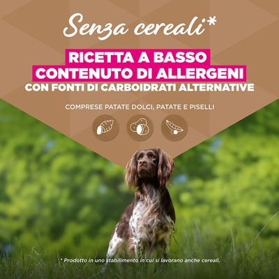 Eukanuba Grain Free Senior Small & Medium Pesce oceanico - 12 kg