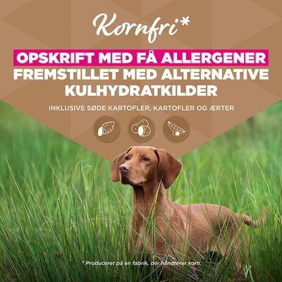 Eukanuba Grain Free Adult Large med kylling