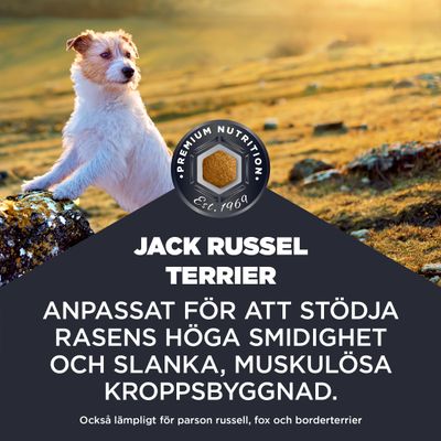 Jack Russell Terrier. Anpassat för att stödja rasens höga smidighet och slanka, muskulösa kroppsbyggnad. Även lämpligt för parson russell, fox och borderterrier.