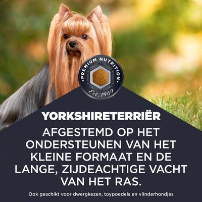 YORKSHIRETERRIER. Afgestemd op de ondersteuning van het kleine formaat en de lange, zijdeachtige vacht van het ras. Ook geschikt voor Dwergkeeshond, Toypoedel en Papillons.