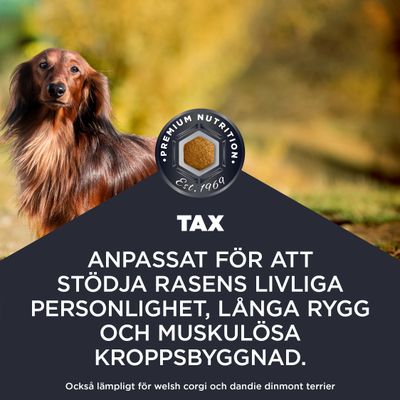 Anpassad för att stödja rasens livliga personlighet, långa rygg och muskulösa kroppsbyggnad. Även lämplig för Welsh Corgi och Dandie Dinmont Terrier.